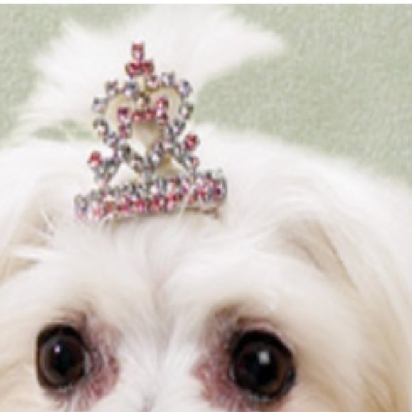 🎉HP🎉 Aria Crystal Heart Dog Tiara Barrette - TWO available - Picture 3 of 4